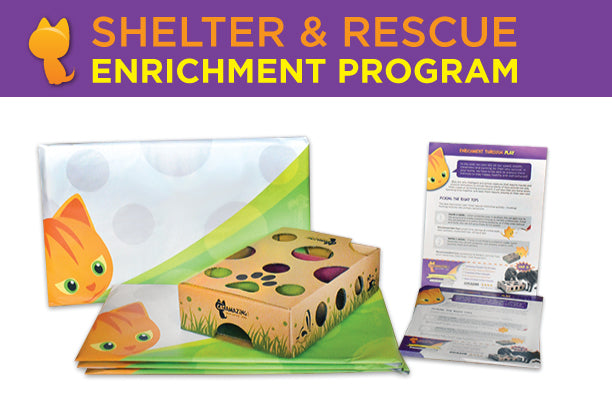 Cat Amazing Shelter & Rescue Enrichment Program is Launched!