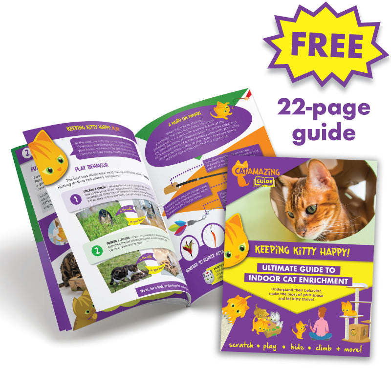 Booklet of Cat Amazing Enrichment guide