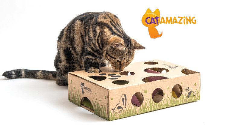 CAT AMAZING Sliders Interactive Treat Maze & Puzzle Cat Toy 