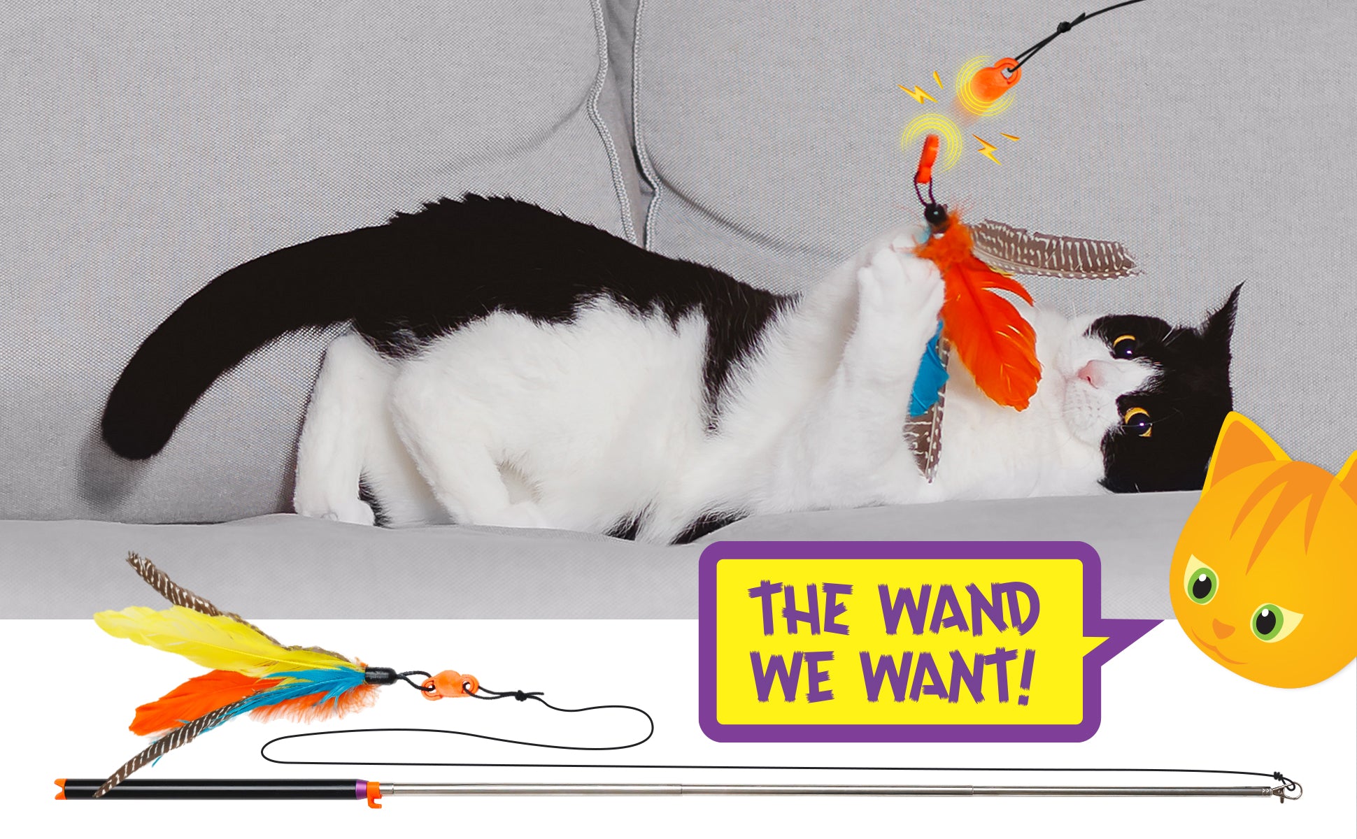 The wand cats want