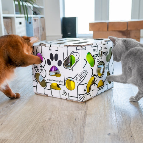 The 10 Best Cat Puzzle Feeders to Keep Your Kitty's Mind Sharp