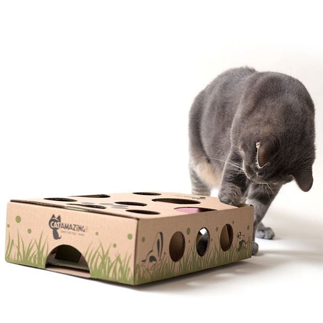 Cat Amazing Classic – Cat Puzzle Feeder – Interactive Enrichment