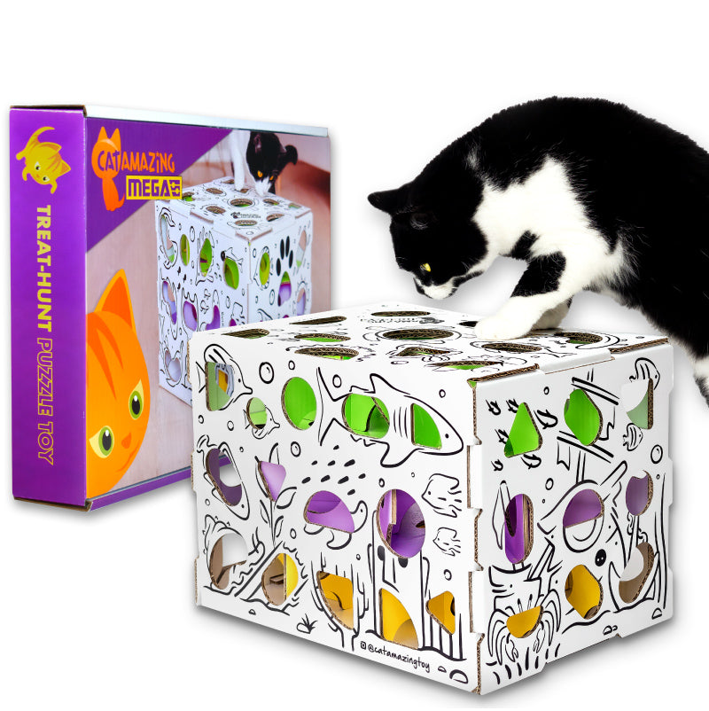 Is tv goed voor katten? Verrijking of Riskant Is tv goed voor katten? Verrijking of Riskant