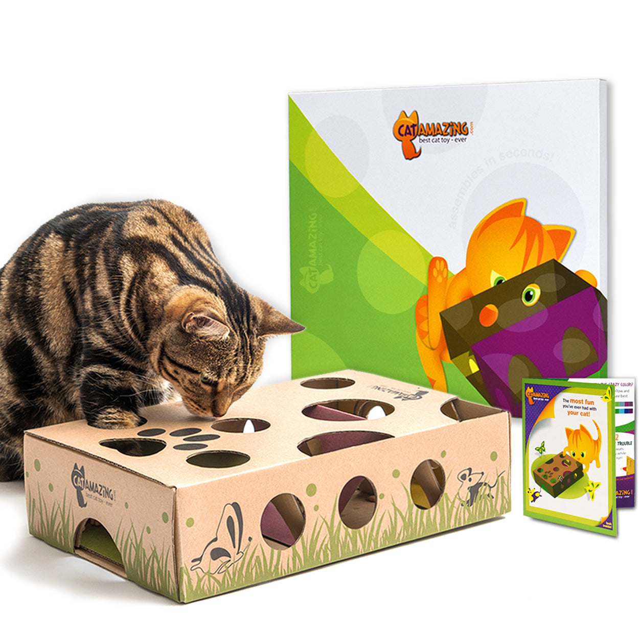 Cat Amazing Classic Interactive Cat Toy Treat Hunt puzzle feeder box for cats