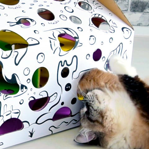 Cat Amazing - Sliders Interactive Cat Toy and Puzzle Feeder - Katzenworld  Shop