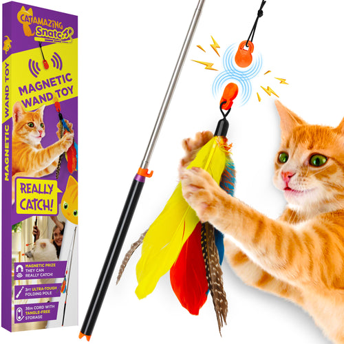 Cat Amazing Snatch wand toy