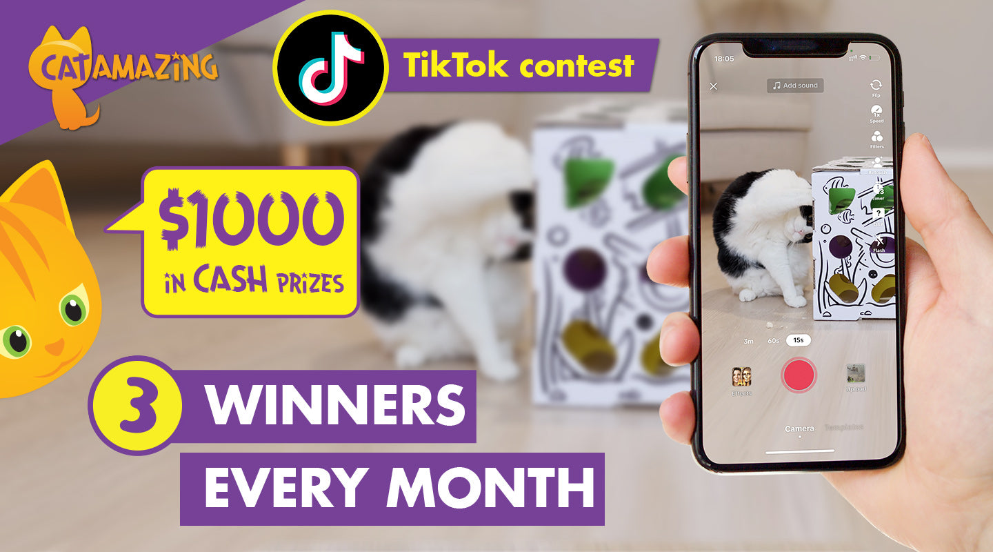 TikTok video contest - $1000 in prizes - 3 winners every month