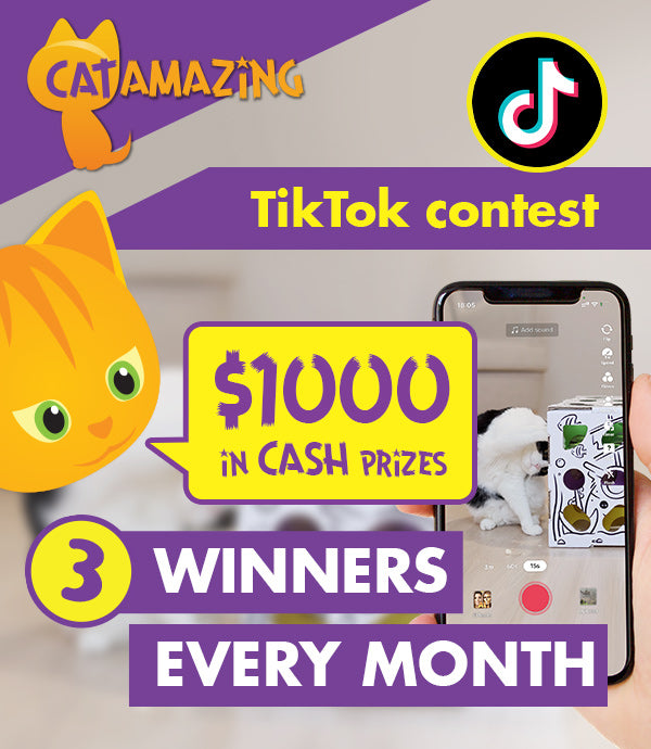 TikTok video contest - $1000 in prizes - 3 winners every month